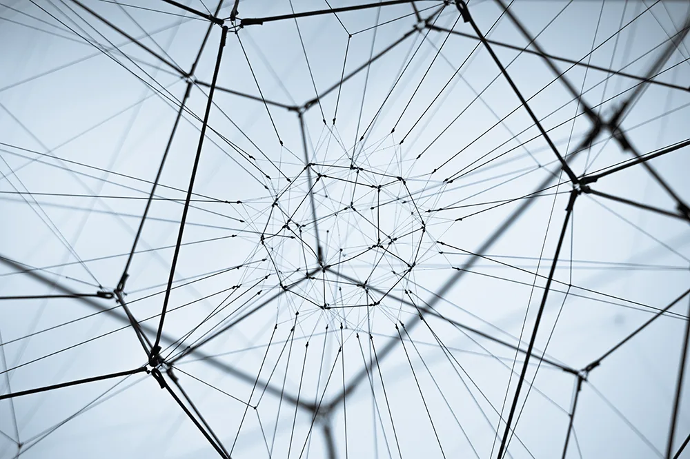 An abstract web of connected lines