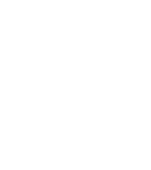 Blue Cross Blue Shield