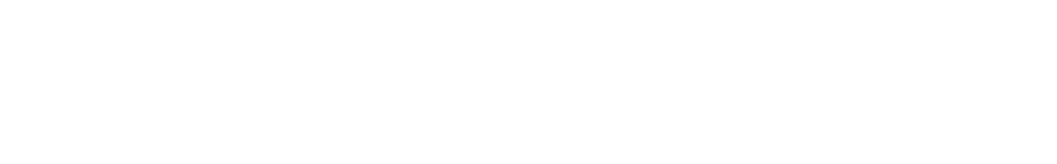 Oracle Gold Partner
